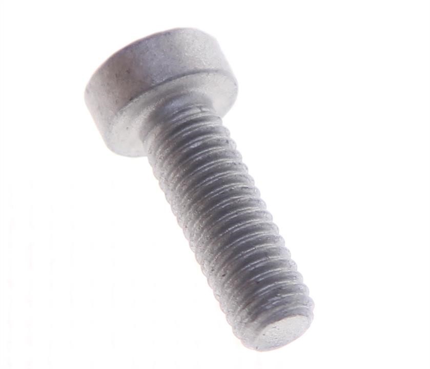 11096061 General Motors Screw