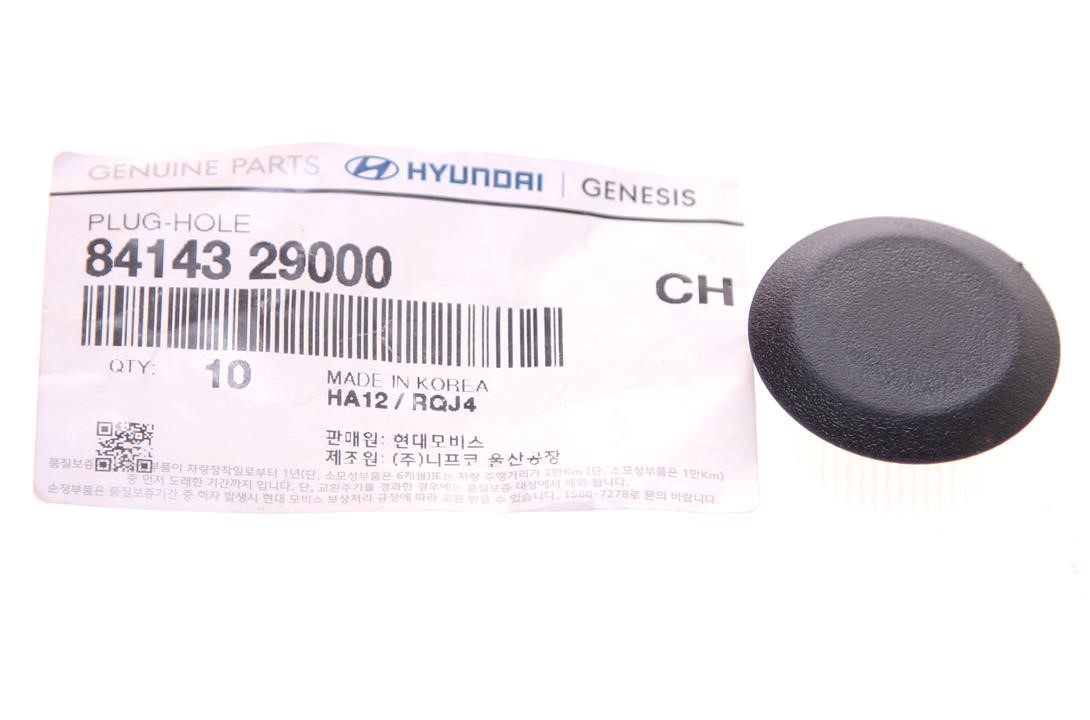 Plug Hyundai/Kia 84143 29000