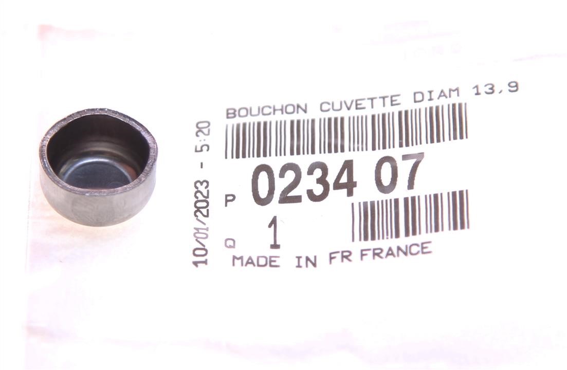 PLUG-BLIND Citroen/Peugeot 0234 07