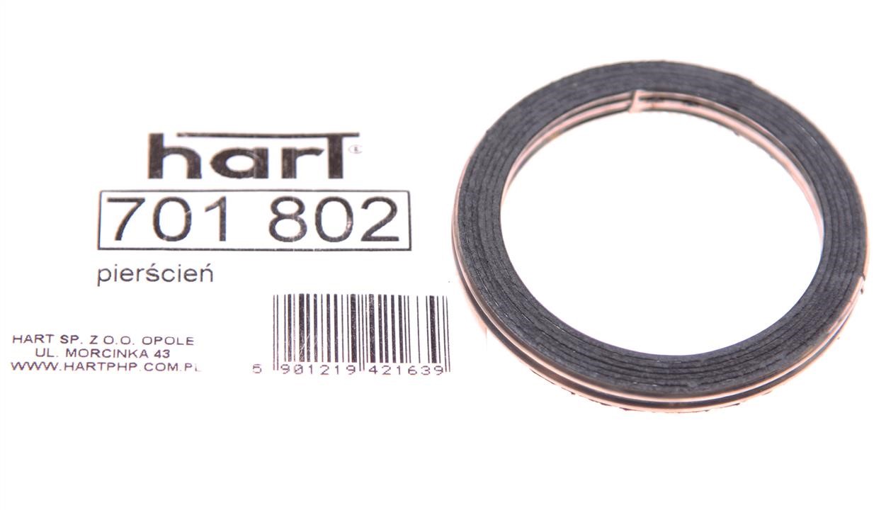 Exhaust pipe gasket Hart 701 802