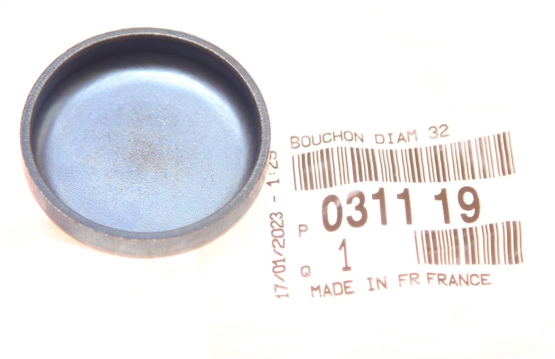 Cylinder head plug Citroen/Peugeot 0311 19