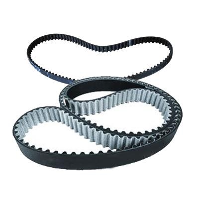 Hyundai/Kia S2431 222613 Timing belt S2431222613 S2431222613 Hyundai/Kia Timing belt