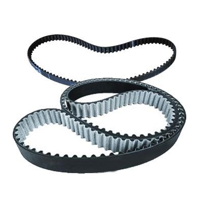 Lemforder 14836 01 Timing belt 1483601