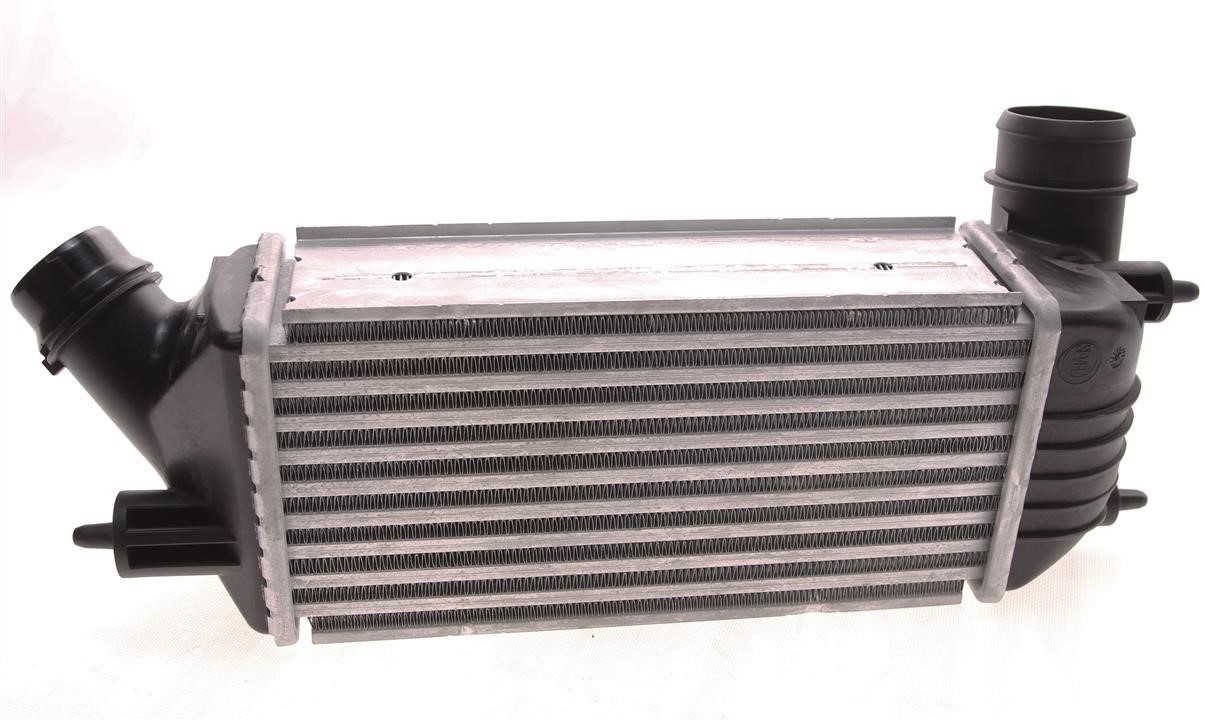 Citroen/Peugeot 0384 P2 Intercooler, charger 0384P2