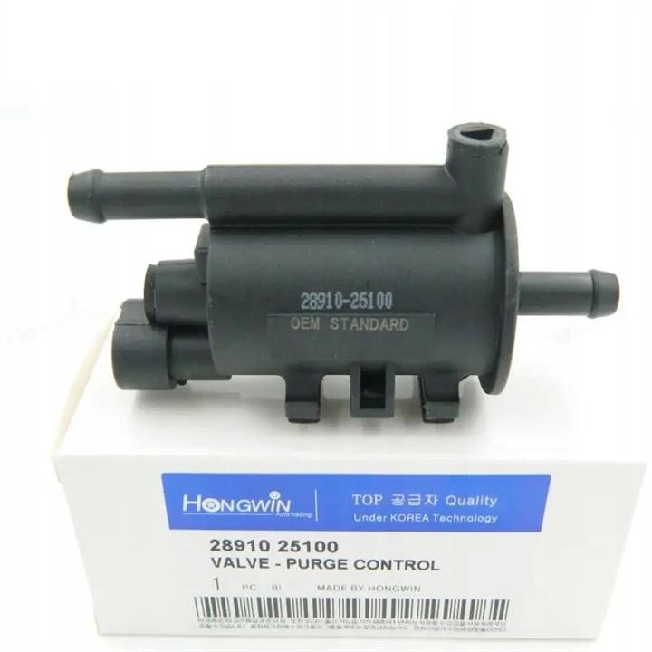 Hyundai/Kia 28910 25100 Vacuum valve1 2891025100
