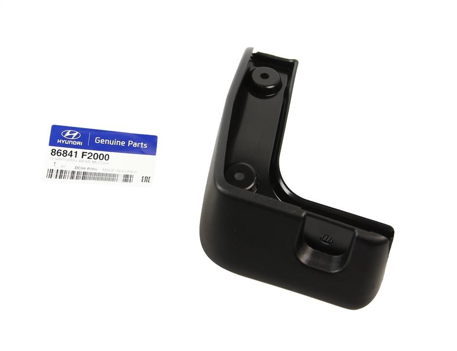 Buy Hyundai/Kia 86841 F2000 at a low price in United Arab Emirates!
