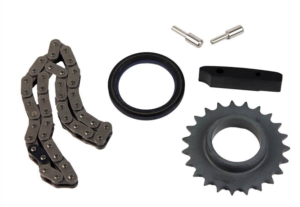 7701473163 Renault Chain Kit, oil pump drive