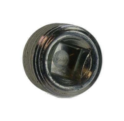 6C2Z4N282AA Ford Plug
