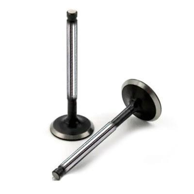132019X700 Nissan Intake valve