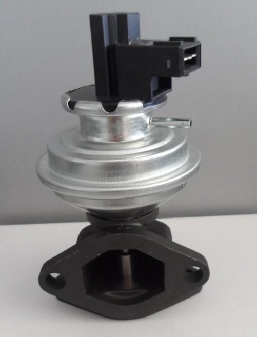 15311 QAP EGR Valve