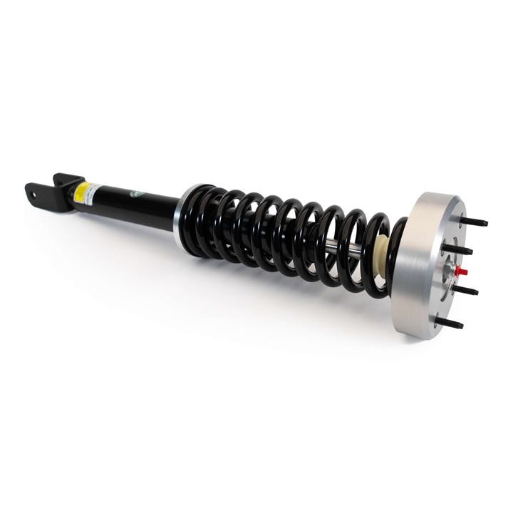 SKE4368 Arnott Shock absorber assy