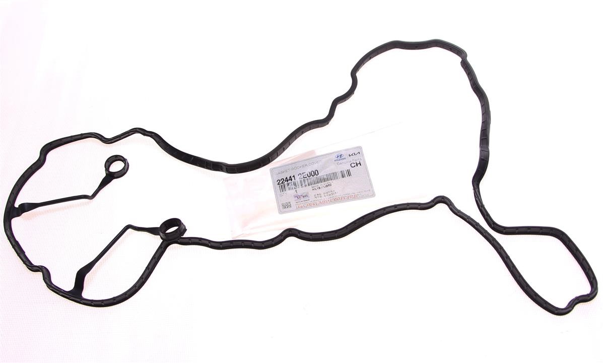 Buy Hyundai/Kia 22441 2E000 at a low price in United Arab Emirates!