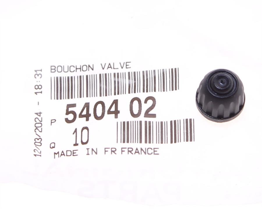 Buy Citroen/Peugeot 5404 02 at a low price in United Arab Emirates!
