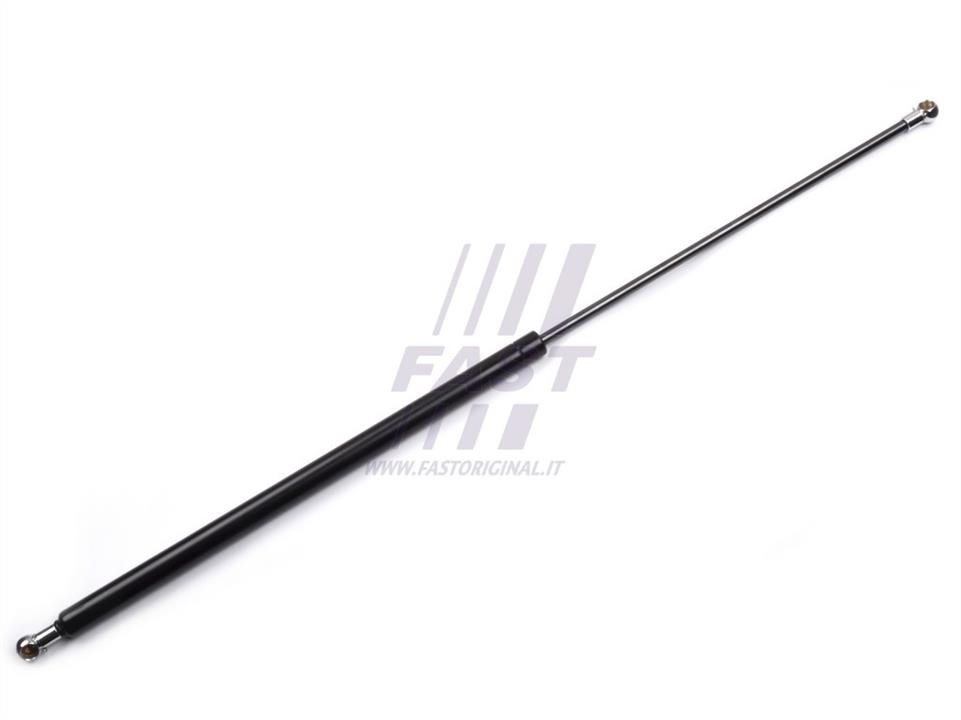 Fast FT94842 Gas Spring, boot-/cargo area FT94842