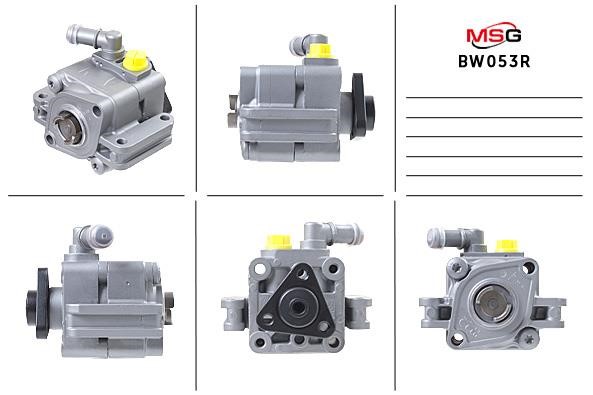 MSG Rebuilding BW053R Hydraulic Pump, steering system BW053R