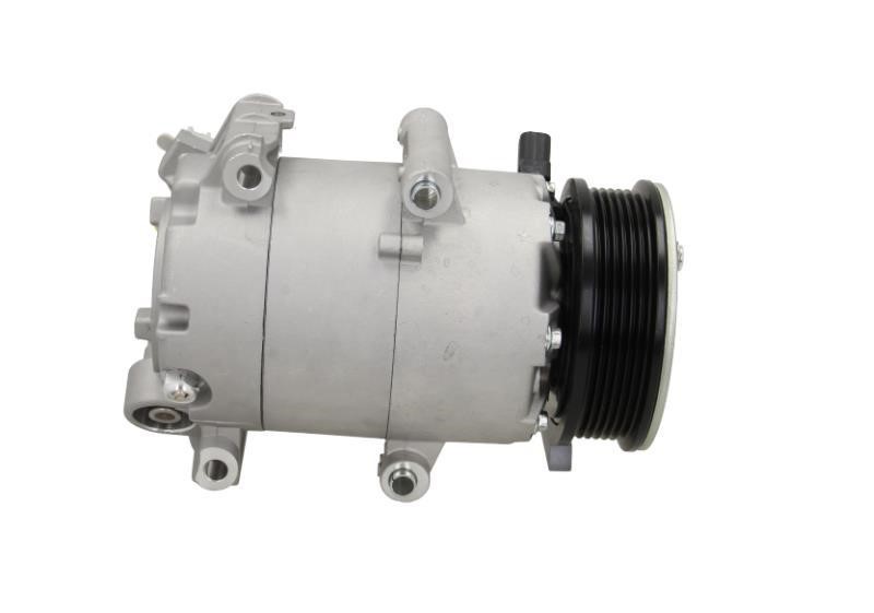 Buy BV PSH 090.595.013.020 at a low price in United Arab Emirates!