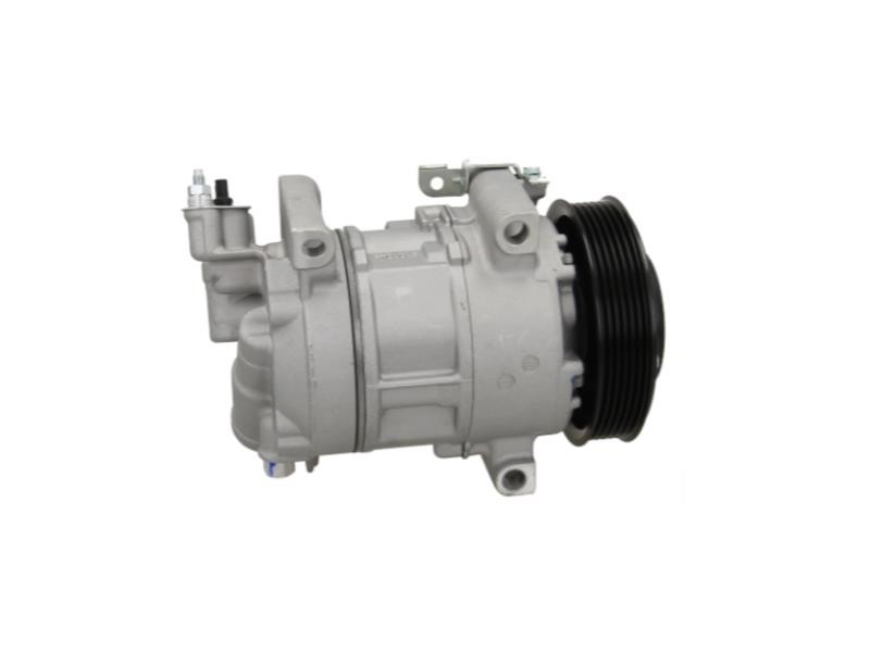 Buy BV PSH 090.225.004.050 at a low price in United Arab Emirates!