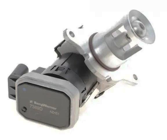 7389D Borgwarner EGR Valve