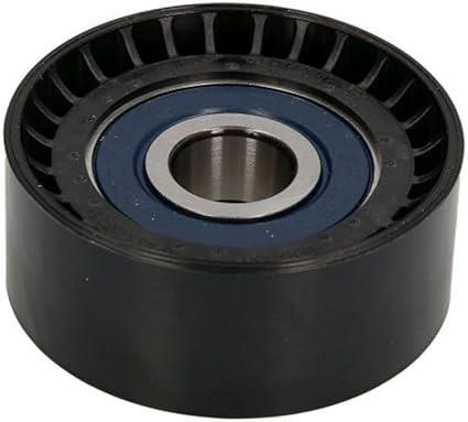 INA 532 0666 10 Idler Pulley 532066610