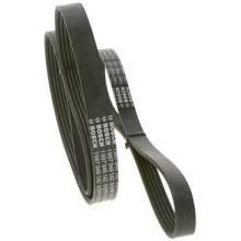 Drive belt kit Ford Focus: 6PK1019ELASTT2 Contitech Drive belt kit