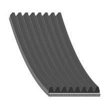 8PK1247 Contitech Poly-V belt 8PK1247