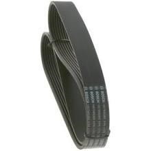 Drive belt Mazda 5: 8PK1175 Contitech Poly-V belt 8PK1175