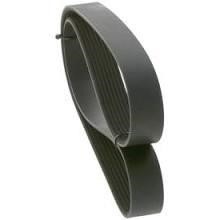 8PK2215 Contitech Poly-V belt 8PK2215
