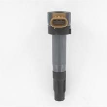 8010800 Hoffer Ignition coil