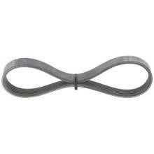 Aux belt Audi A1: 5PK491 Contitech Poly-V belt 5PK491