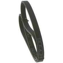 Alternator belt Fiat Marea: 6DPK1225 Contitech Poly-V belt 6PK1225