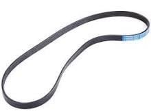 Buy Contitech 5PK1180 at a low price in United Arab Emirates!