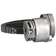 Drive belt kit Renault Trafic: 5PK1125K1 Contitech Drive belt kit
