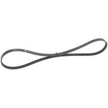 Aux belt Iveco: 4PK1102ELAST Contitech Poly-V belt 4PK1102