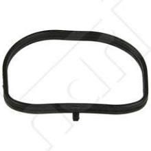 1825698300 Guarnitauto Intake manifold gasket