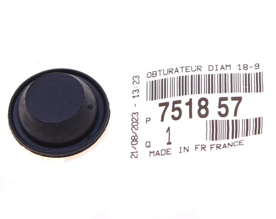 Buy Citroen/Peugeot 7518 57 at a low price in United Arab Emirates!