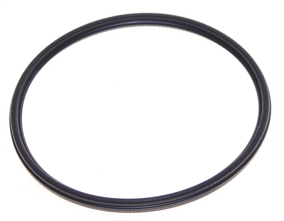 331704A002 Hyundai/Kia Ring sealing TNVD
