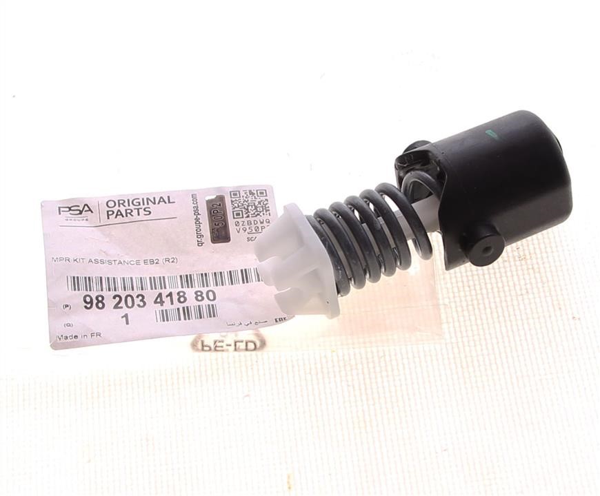 9820341880 Citroen/Peugeot Clutch pedal spring