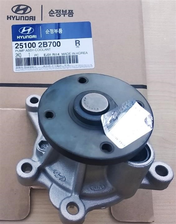 Water pump Hyundai/Kia 25100-2B700