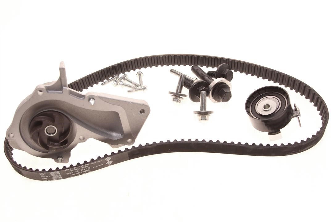 530049530 INA TIMING BELT KIT WITH WATER PUMP