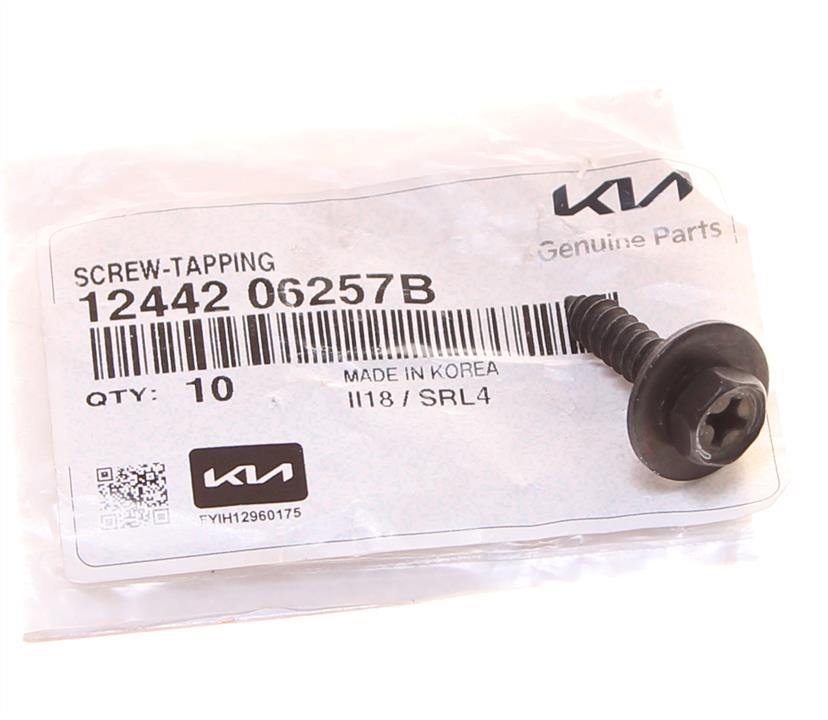 Buy Hyundai/Kia 12442 06257B at a low price in United Arab Emirates!