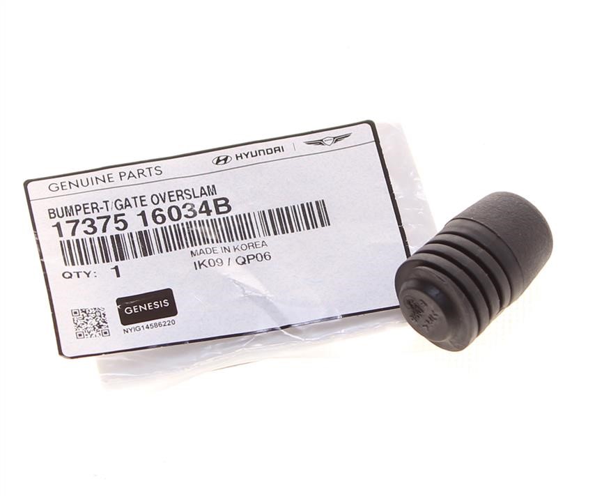 Buy Hyundai/Kia 17375 16034B at a low price in United Arab Emirates!