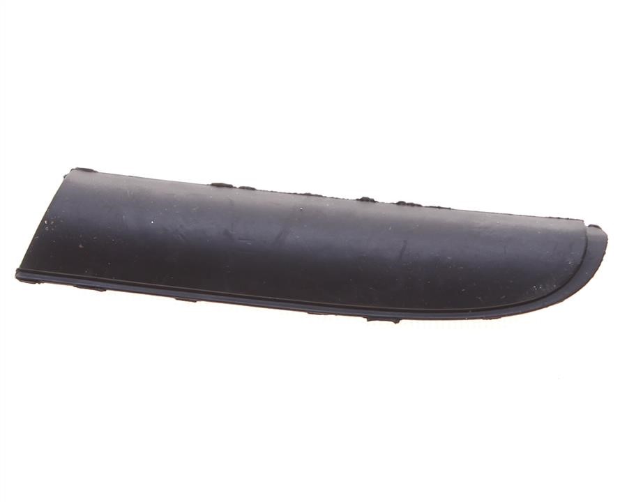 2163763 Ford Molding
