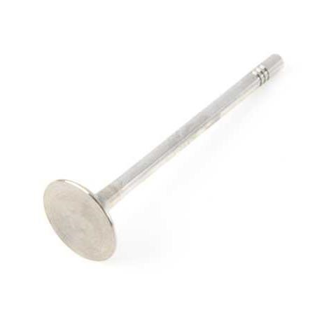Inlet valve engine Audi TT: 03L109601 VAG Intake valve