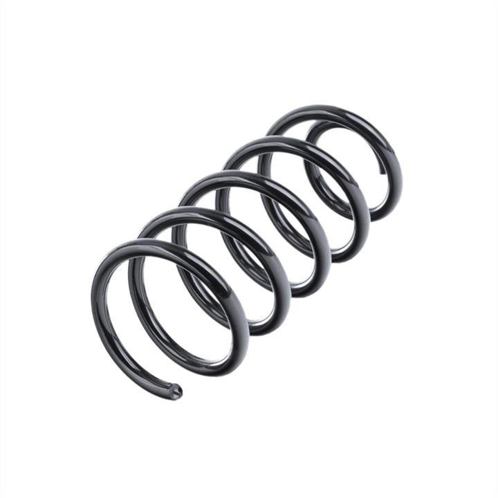 33531134552 BMW Rear coil spring