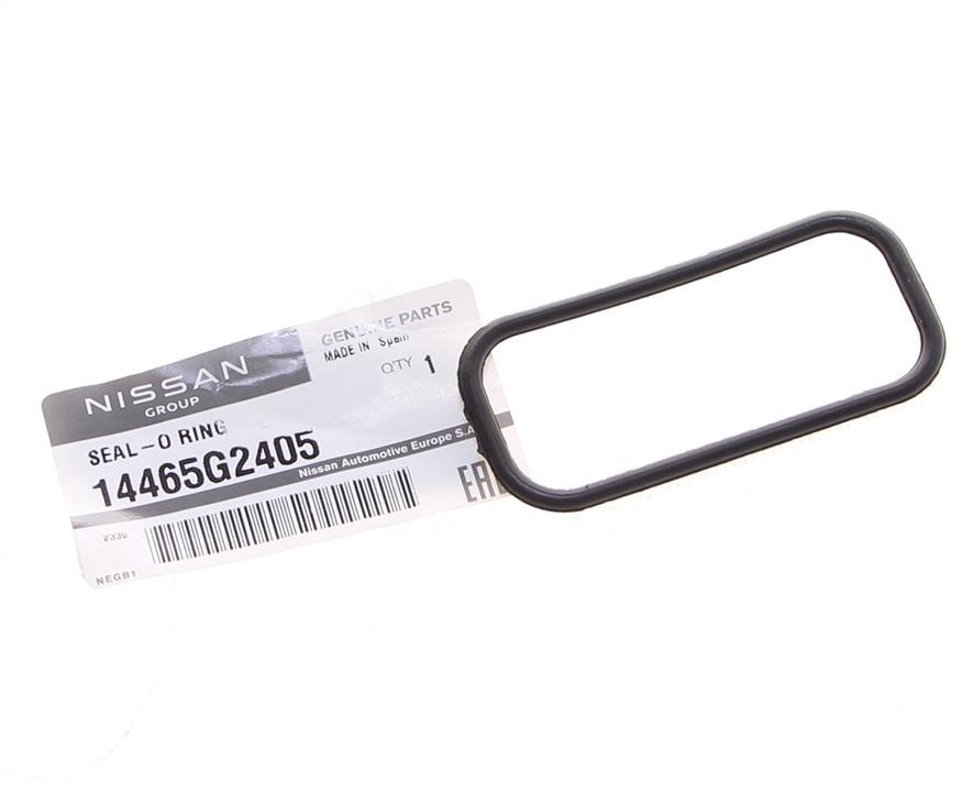 Buy Nissan 14465-G2405 at a low price in United Arab Emirates!