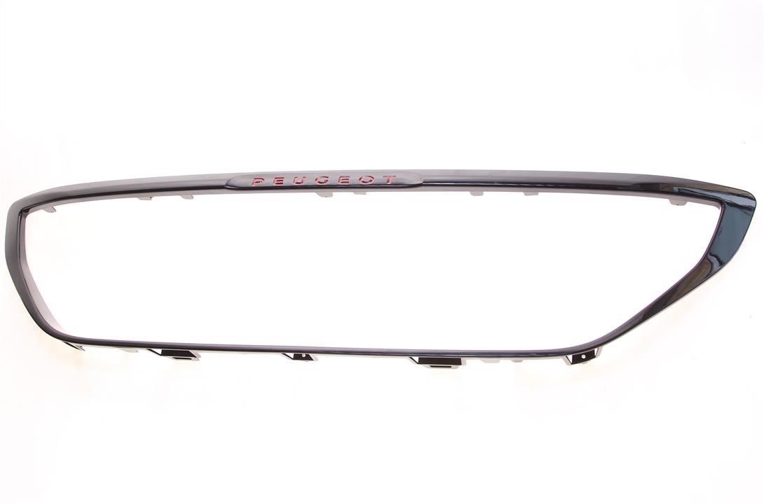 98154400XU Citroen/Peugeot Molding