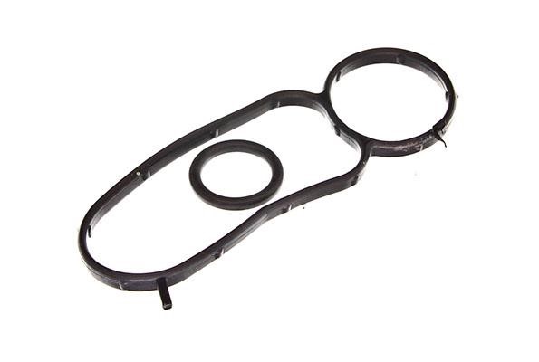 Air inlet manifold gasket Ford Transit: 77019700 Ajusa Intake manifold gaskets, kit