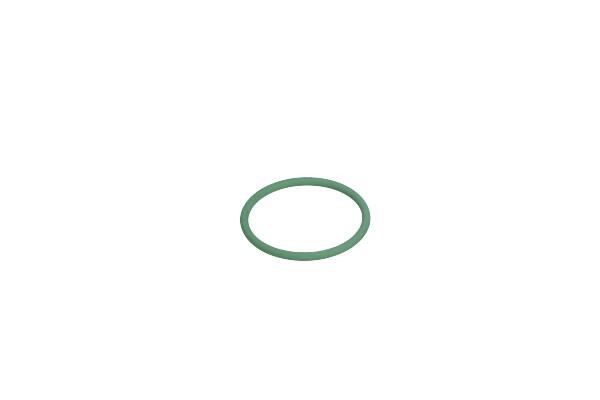 F01M100050 Bosch Fuel injector O-ring