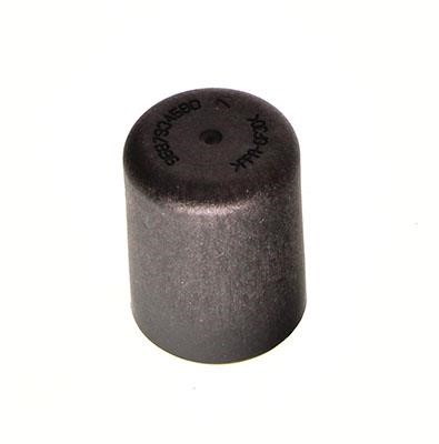 221831 Citroen/Peugeot Plug