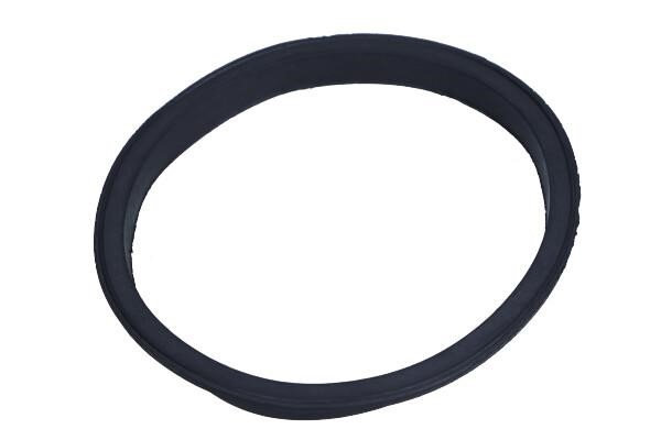 153132 Citroen/Peugeot Seal Ring